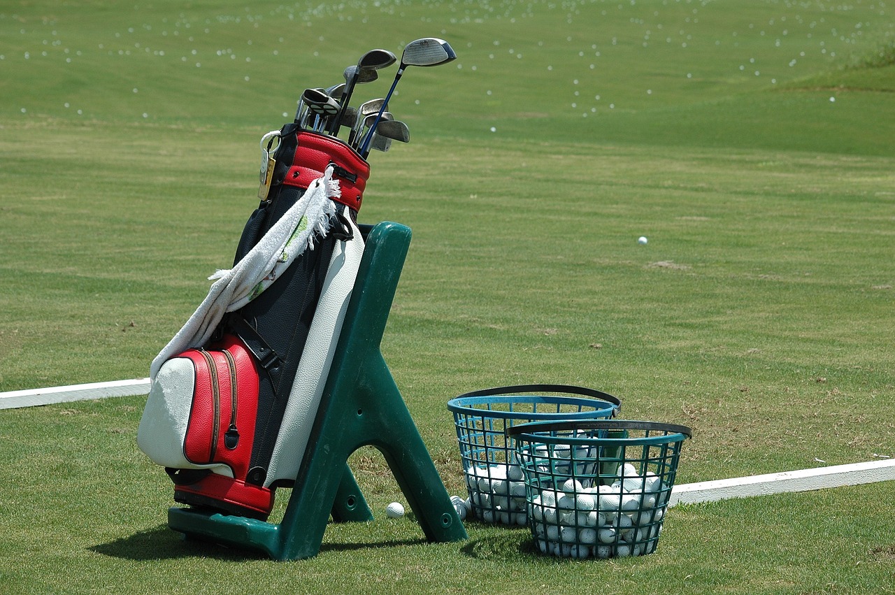 golf bag, clubs, ball-1678706.jpg